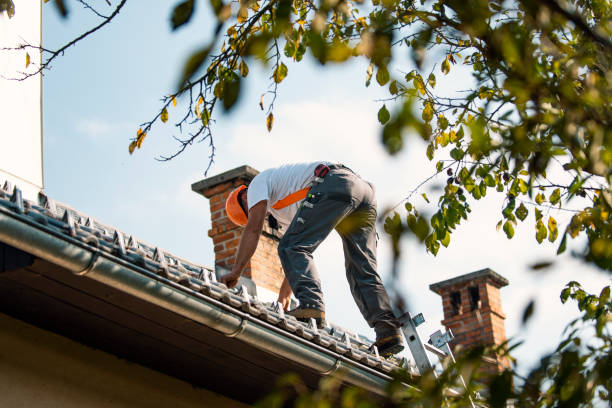 Best Roof Gutter Cleaning  in Colony Rk, PA