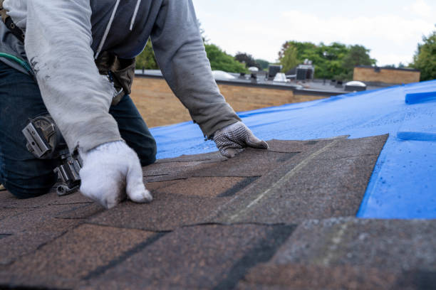 Best Best Roofing Contractors  in Colony Rk, PA