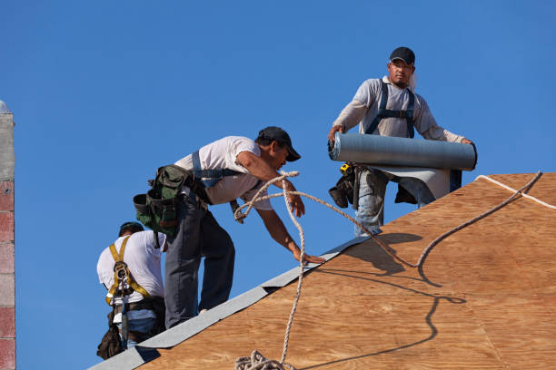 Best Flat Roof Repair Services  in Colony Rk, PA
