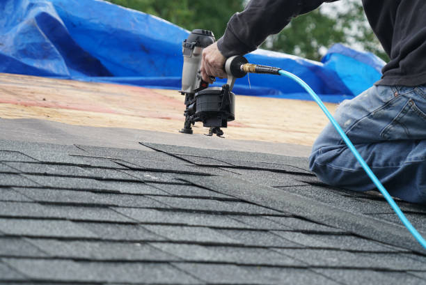 Professional Roofing Contractor in Colony Park, PA