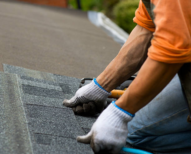 Best Roofing Contractors for Homes  in Colony Rk, PA